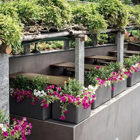 Del Conventino Lugano